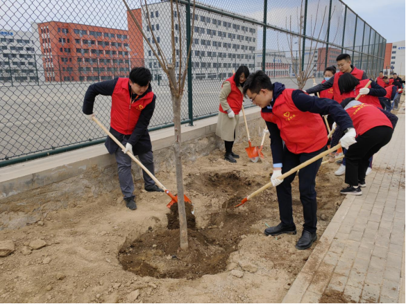 BG大游(中国)唯一官方网站
